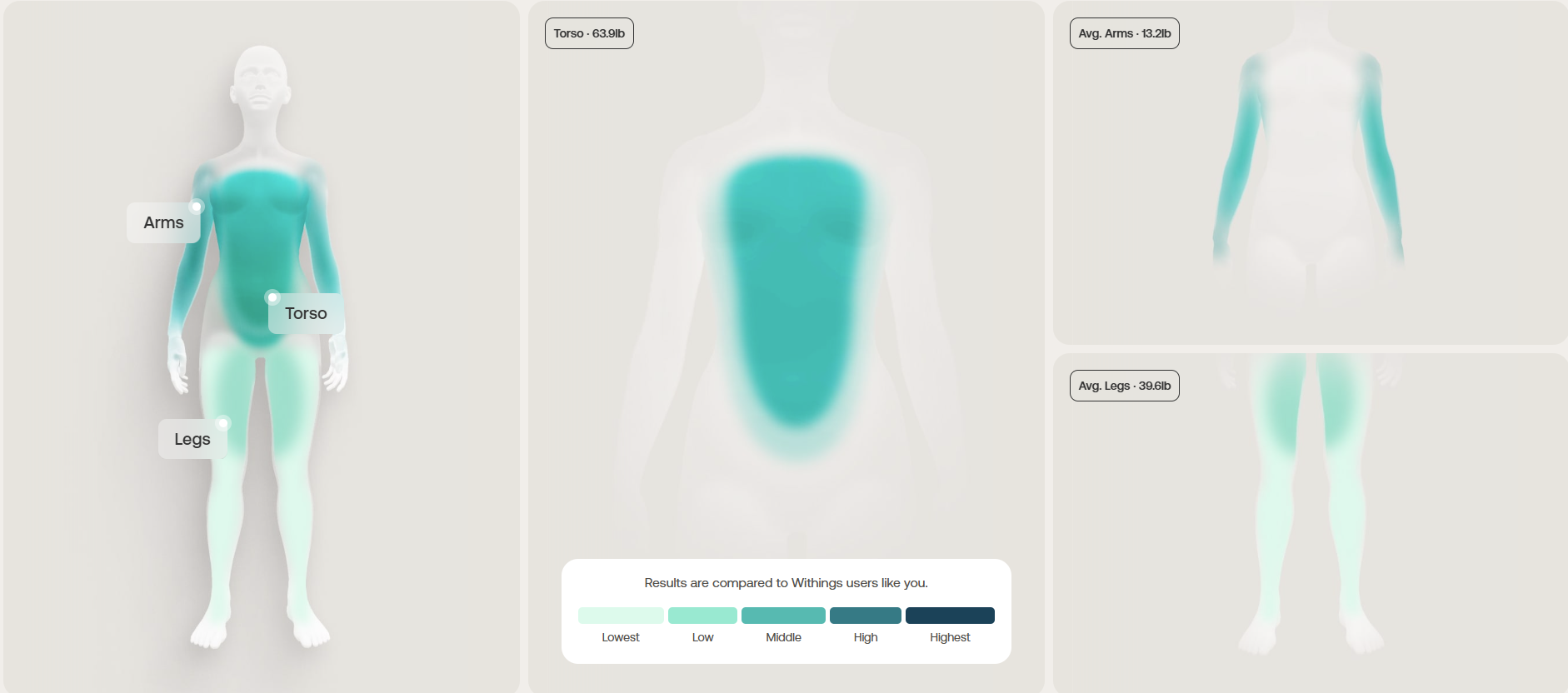 Localized muscle mass mapping across arms, torso and legs